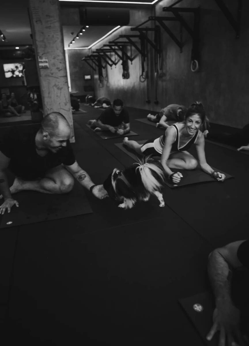 Aula no Bolden Space com um cachorro passeando entre os tapetes